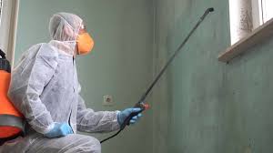 Professional Mold Removal Services in Santo Domingo Pueblo, NM